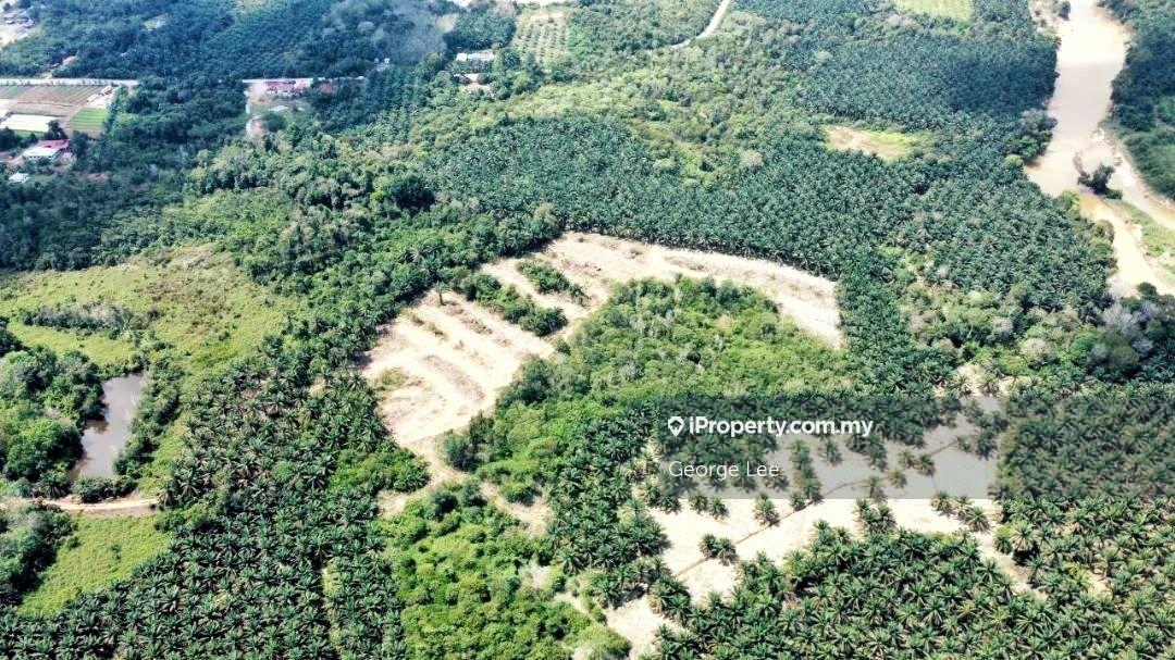 Lepar Hilir, Agriculture Land
