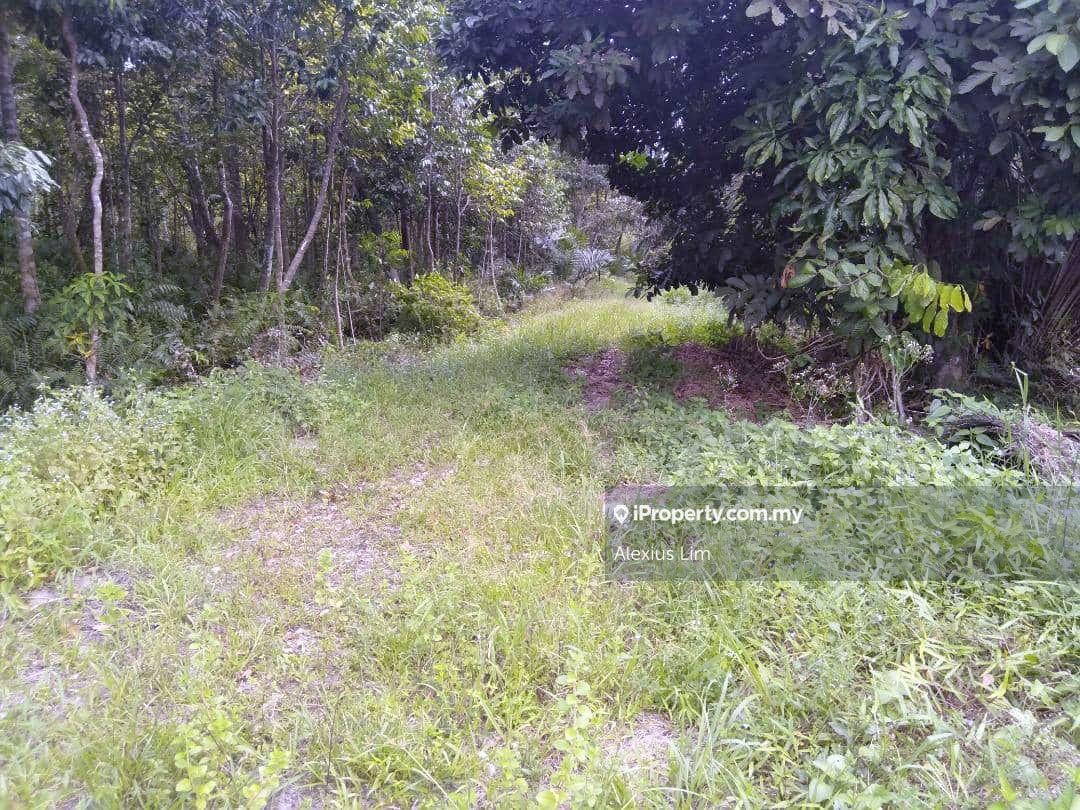 Sale 4.1 acre Agriculture land Pontian Bridge 