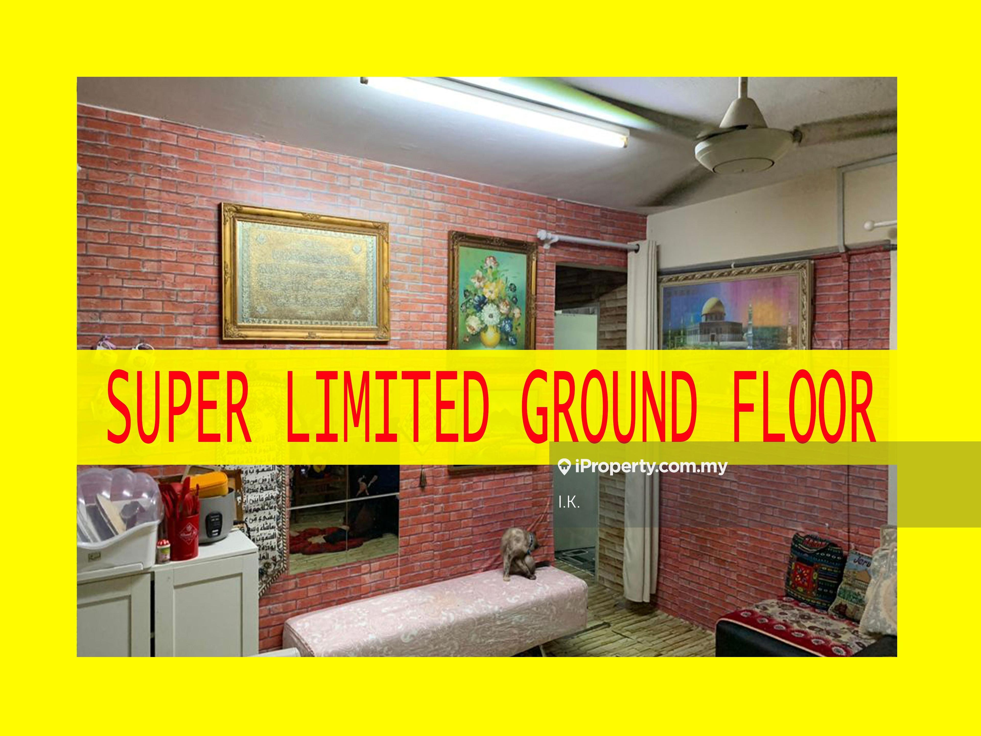 Super Limited Ground Floor Flat, Sri Meranti, Bandar Sri Damansara