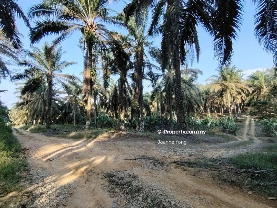 4.6 Acres Agriculture Land @ Layang-Layang, Johor