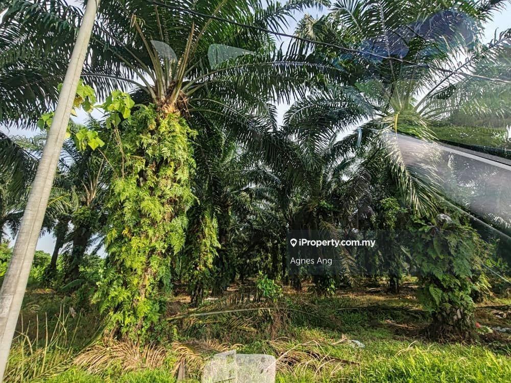 Land zoning industrial