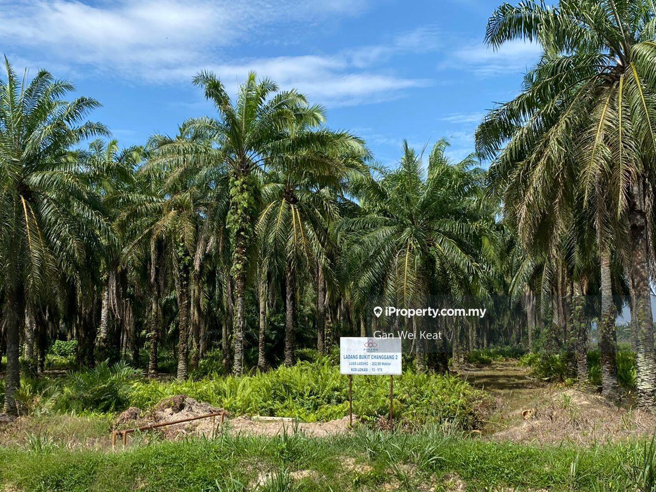 Residential zoning land next to Nct industrial park for sale