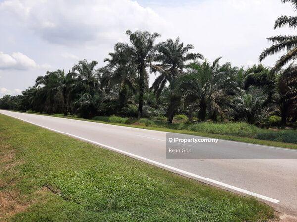 Pekan Nanas Pontian