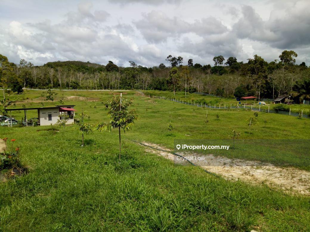 Agriculture land for Sale