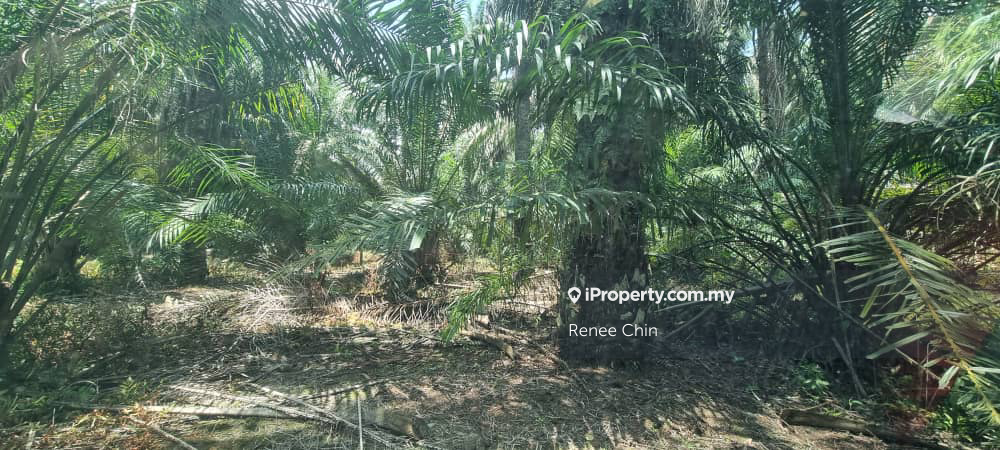 Freehold Agriculture Land Sepang Dengkil Taman Jenderam Damai 
