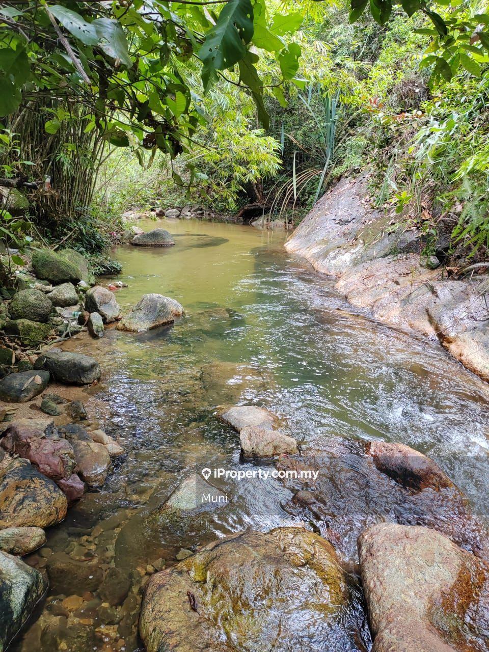 Tanah dusun tepi sungai untuk dijual 	
