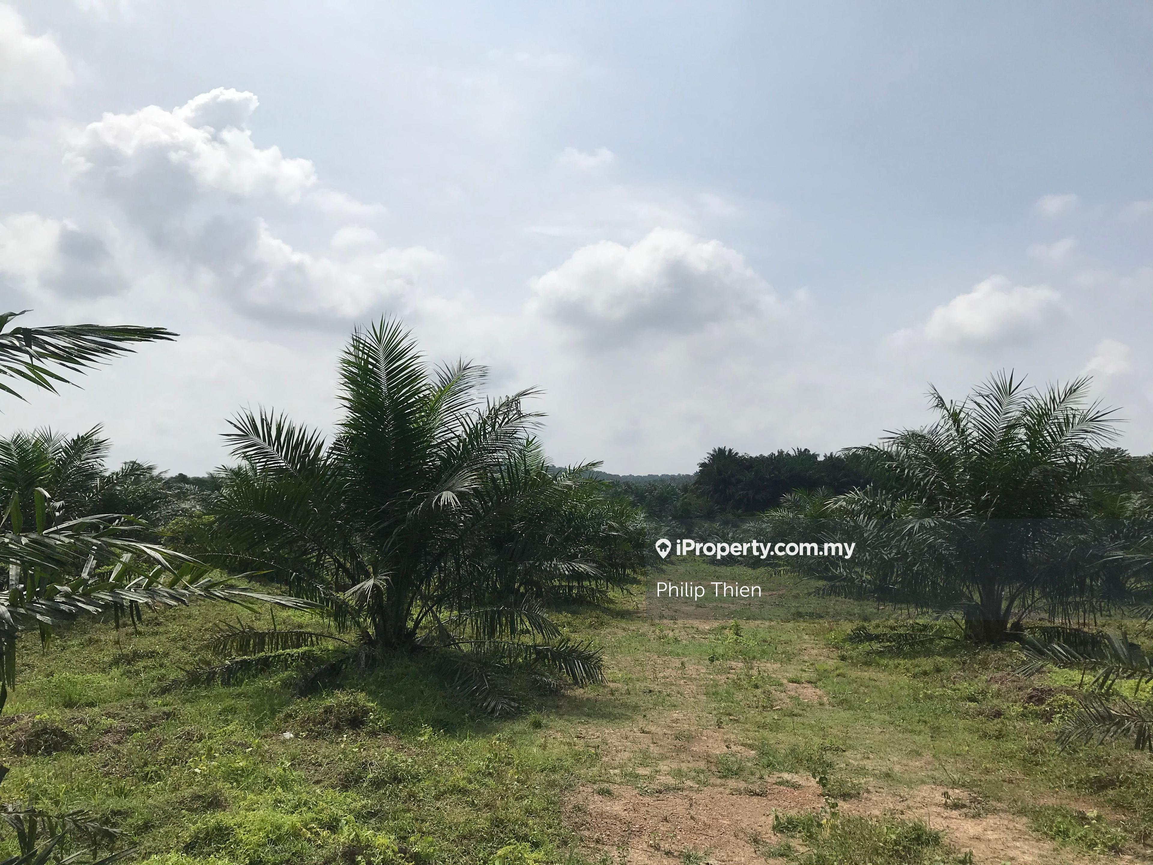 1.149 Acre Agriculture Land 