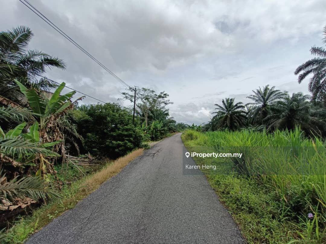 Kukup Agricultural Land For Sale
