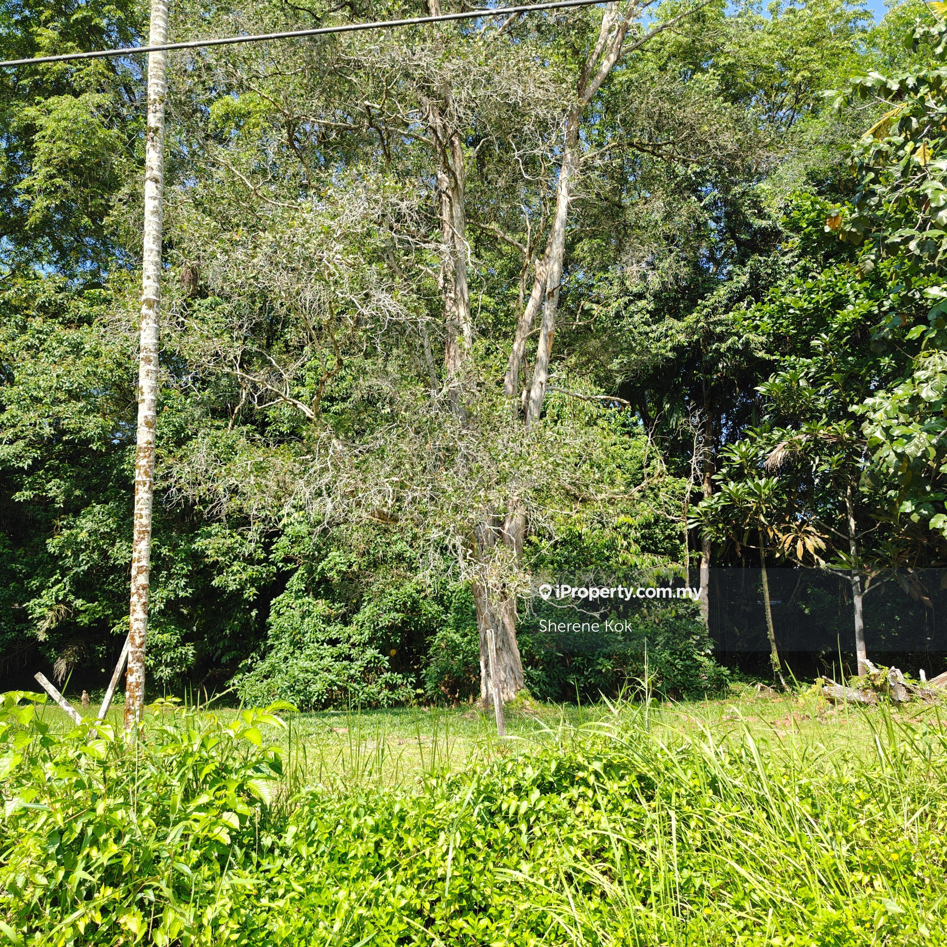 Native Residential Land @ Petra Jaya Bukit Siol 2B