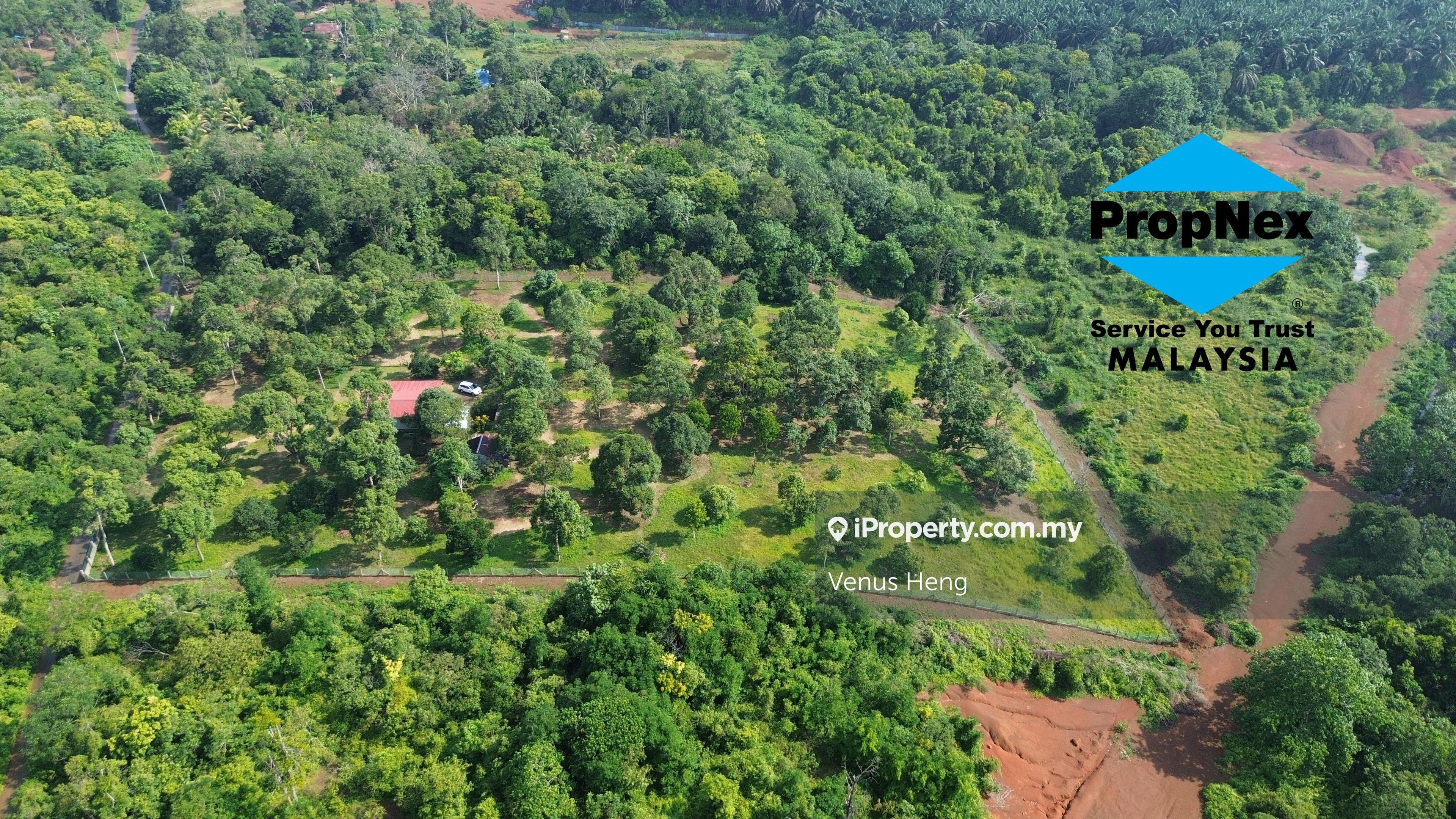 For Sale Agriculture Land