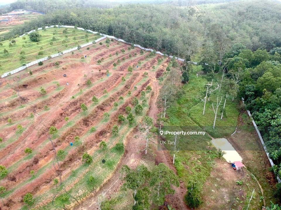 8 acres Simpang Pertang Durian Land for Sell