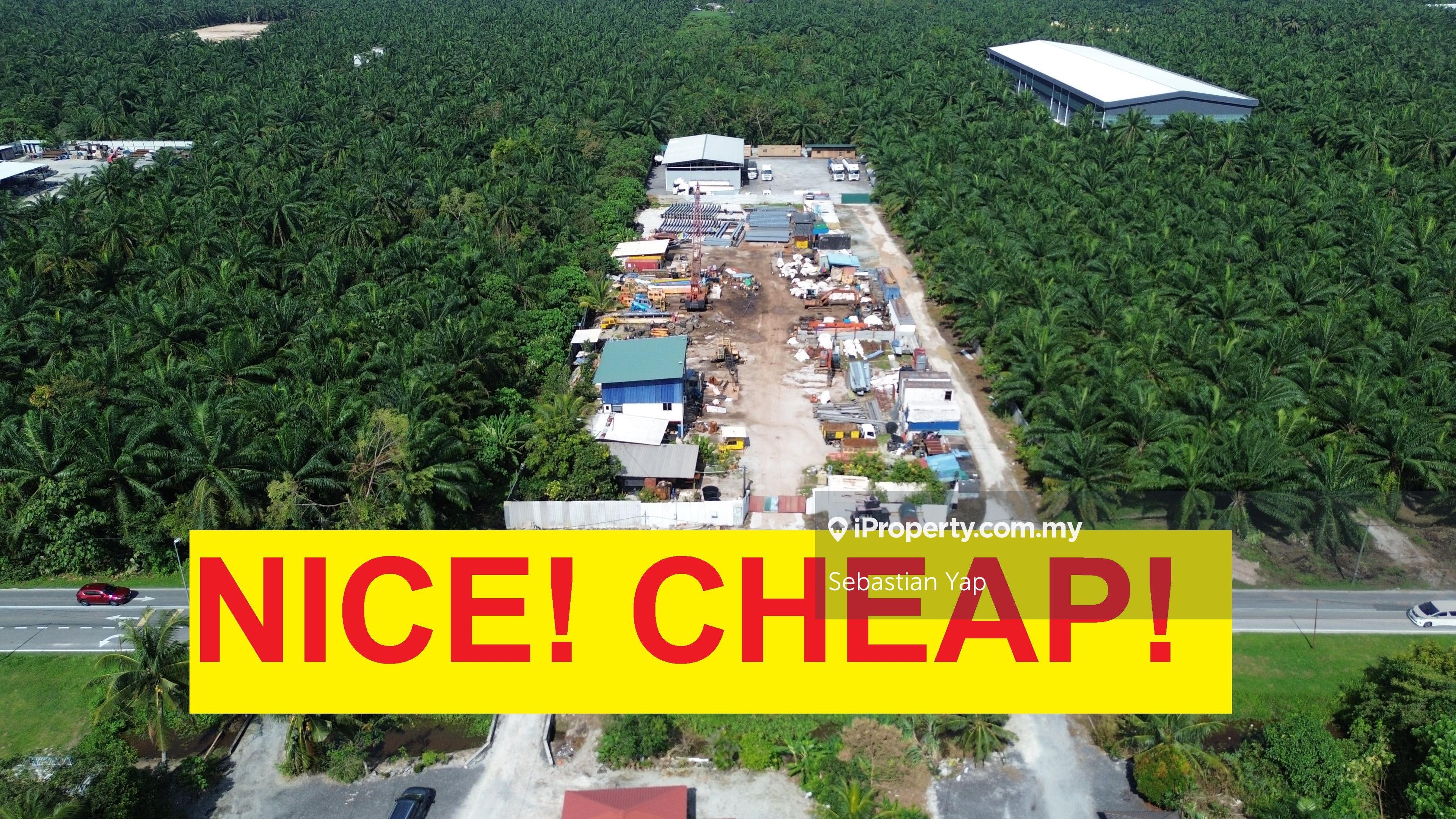 Cheap! cheap! cheap! cheap! cheap! cheap! cheap! cheap! cheap! cheap!