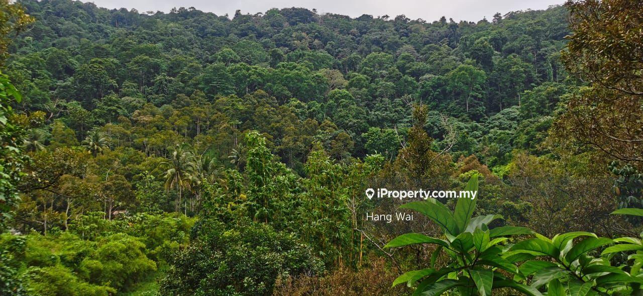 Agriculture Land For Sale