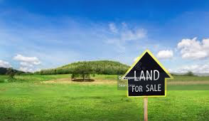 Kelantan Lojing Highlands Agriculture Land For Sale