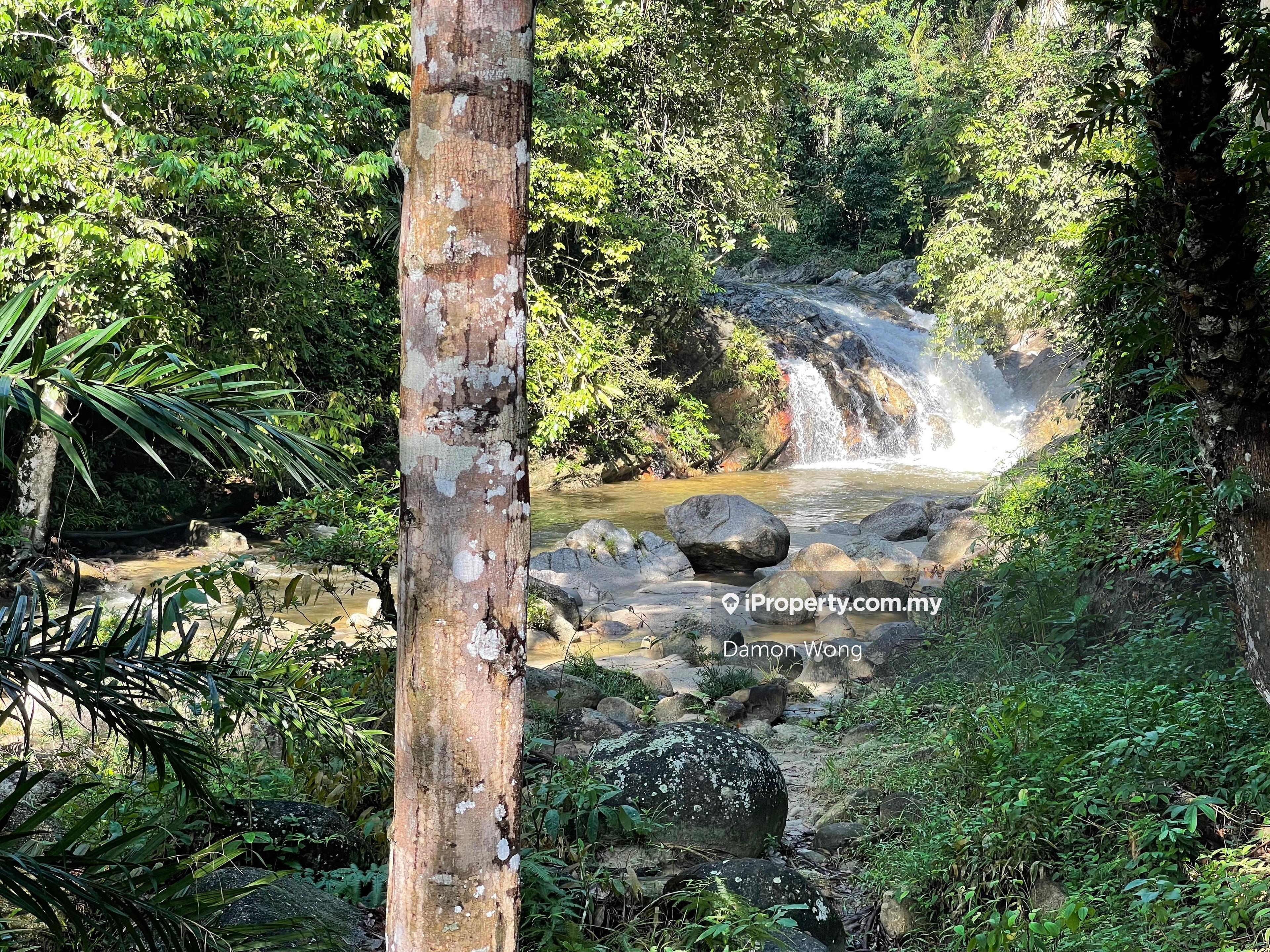 Land with beautiful natural stream