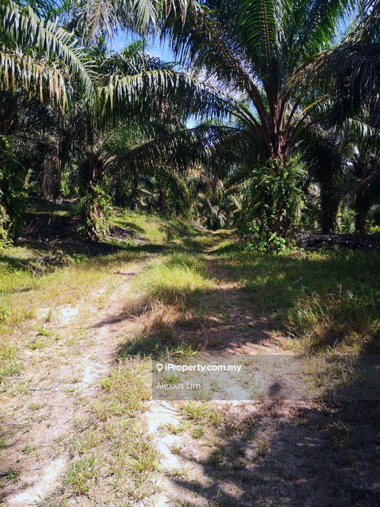 For Sale - Agriculture Land @ Simpang Renggam, Kluang