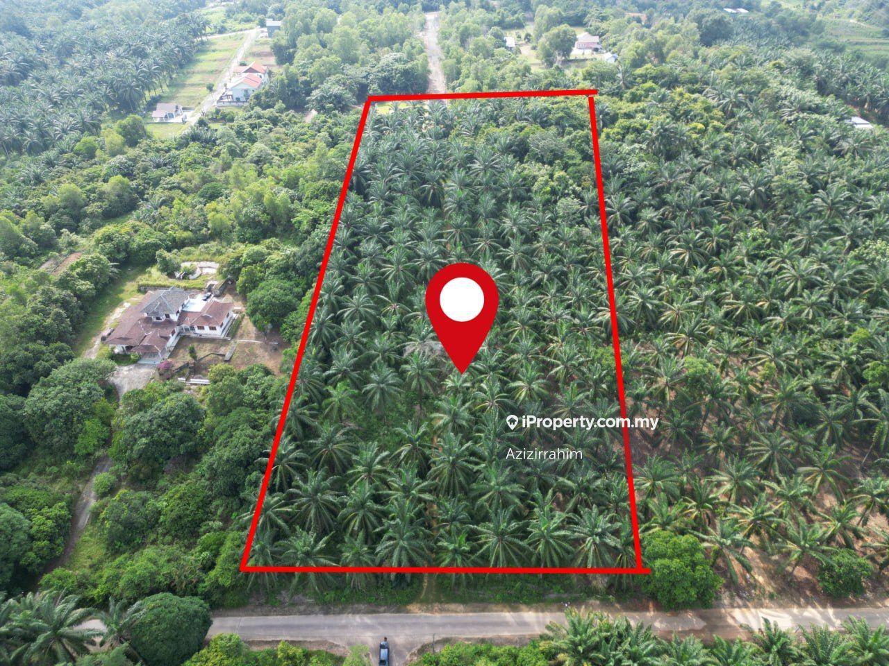 Potential Land 3.01 Acre Bukit Damar Dengkil