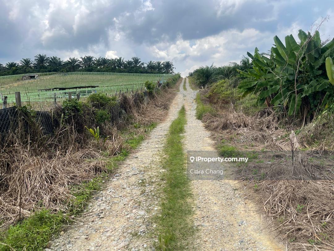 Kulai 4.12acres Agricultural Land for Sale 