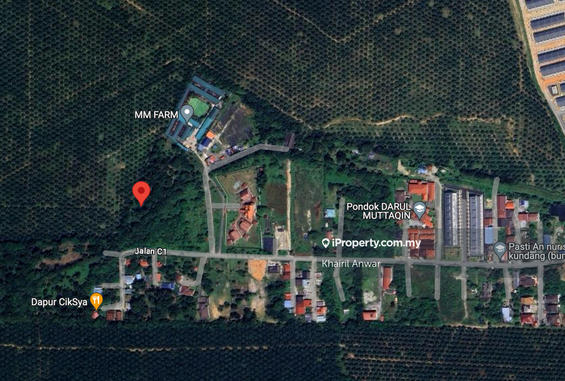 Orchard agri land.