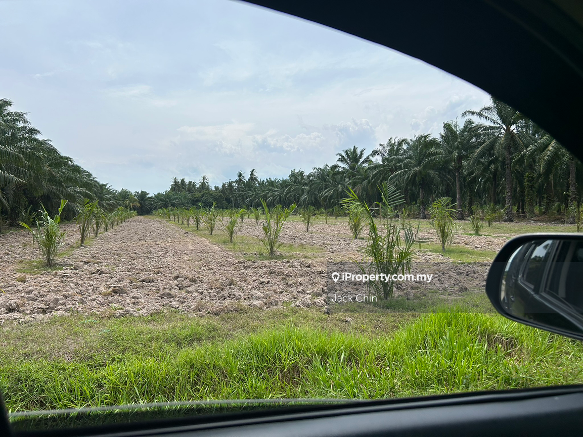 Flat land Tar Road very near to main road 