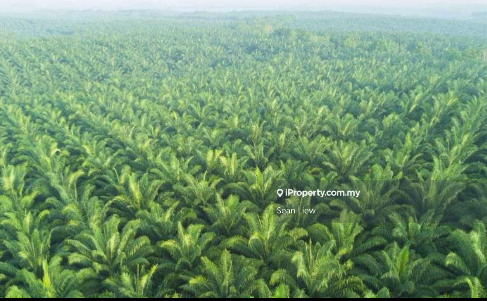 Salak Tinggi, Dengkil, Sepang Land For Sale