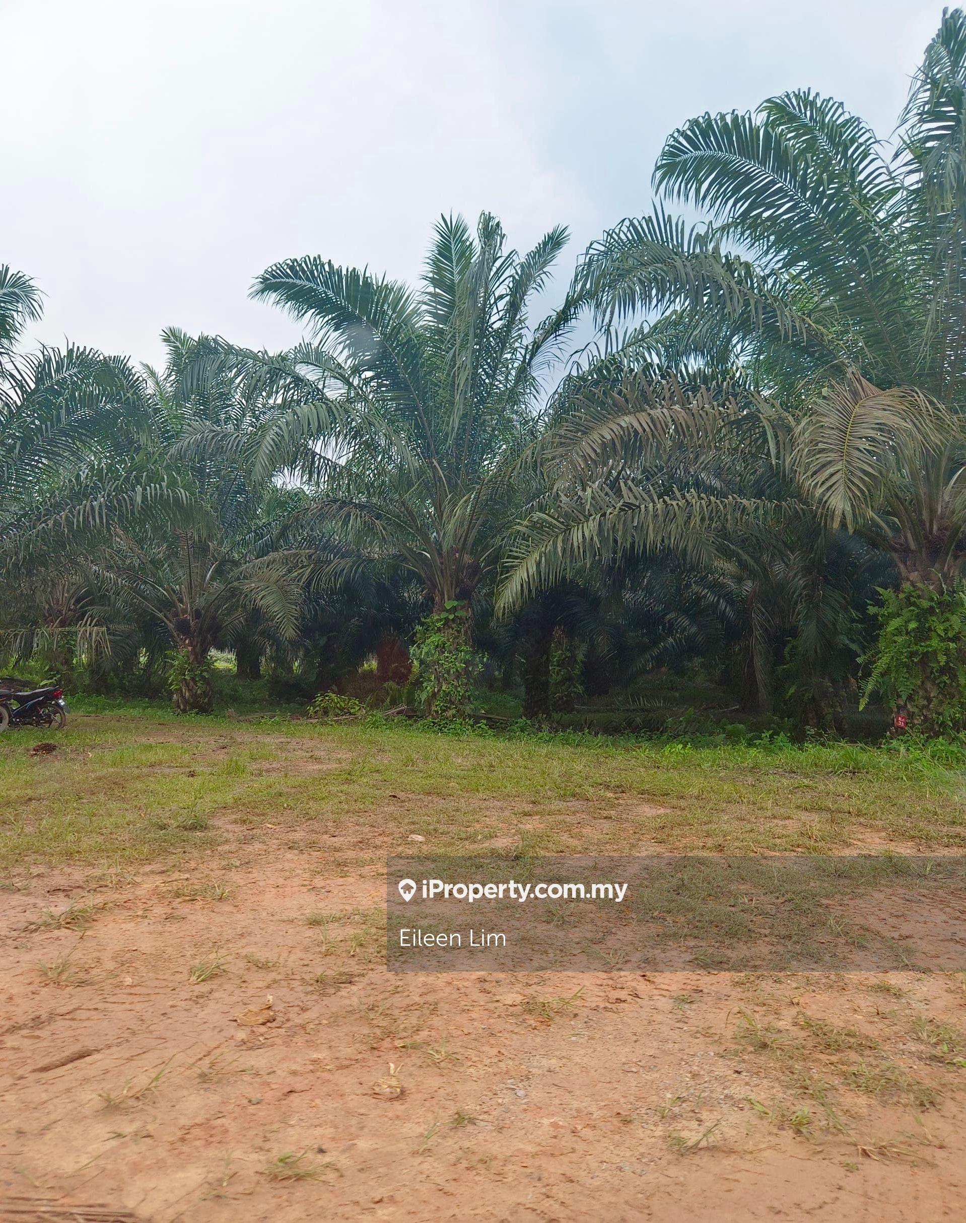 Johor Mix Development land for sale 
