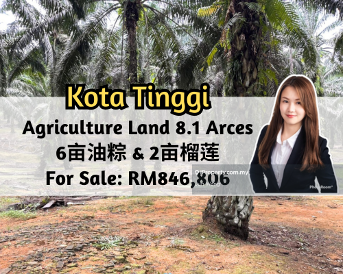 Kota Tinggi @ Mawai, Agriculture Land, 8.1 Arces
