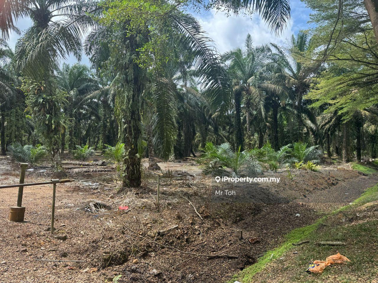 Pontian Pekan Nenas Kangkar Pulai Ulu Choh Gelang Patah Skudai