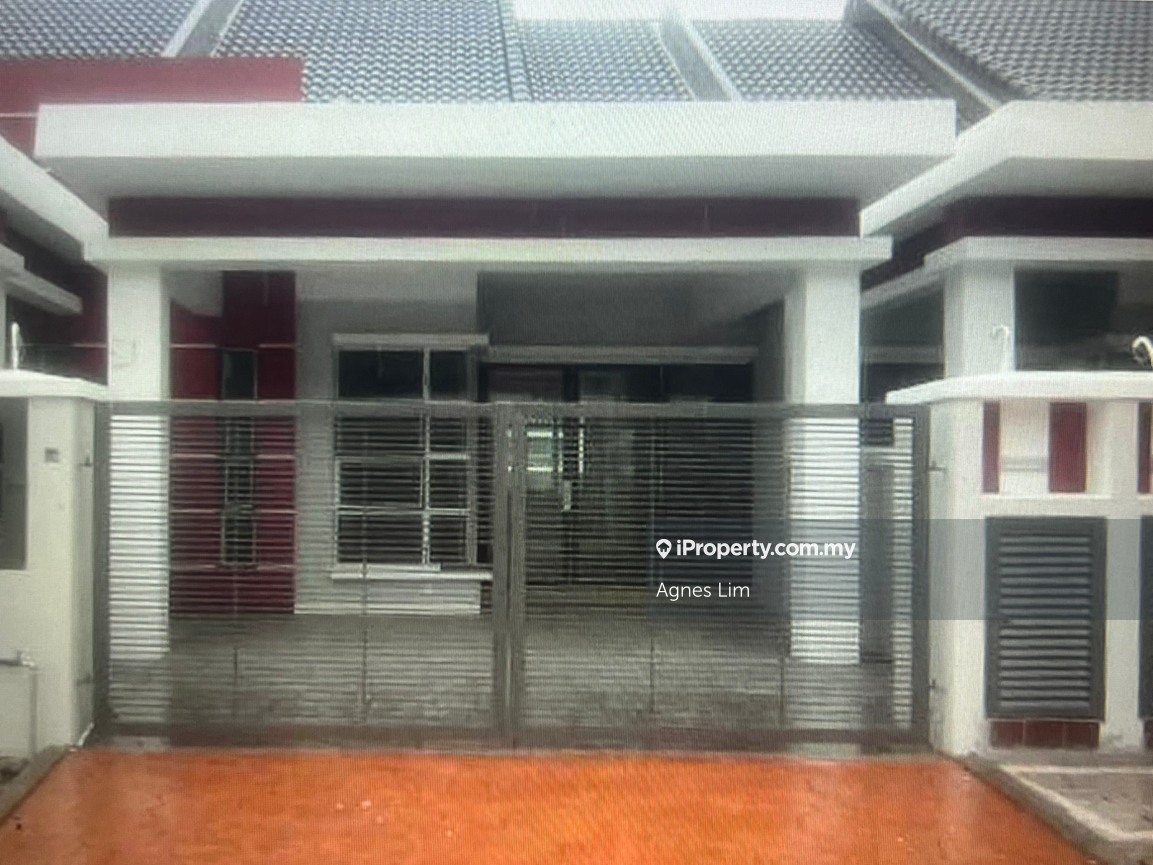 Catarina 1sty (sale) Alam Nusantara