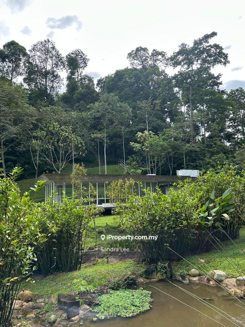 Green Living, House & 2 Acres Land, Tanarimba, Janda Baik, For Sale