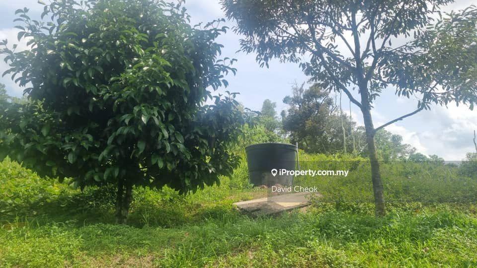 Mambau/Seremban/Negeri Sembilan/Durian land/4.8 acre