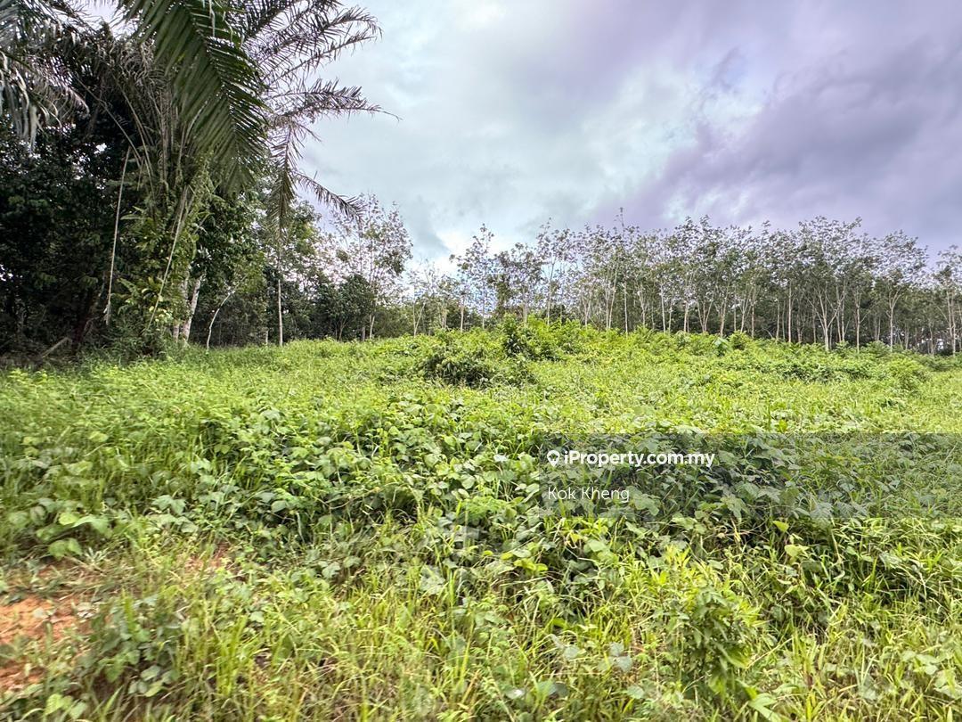 Sungai Siput 8acres Freehold Agriculture Land For Sale