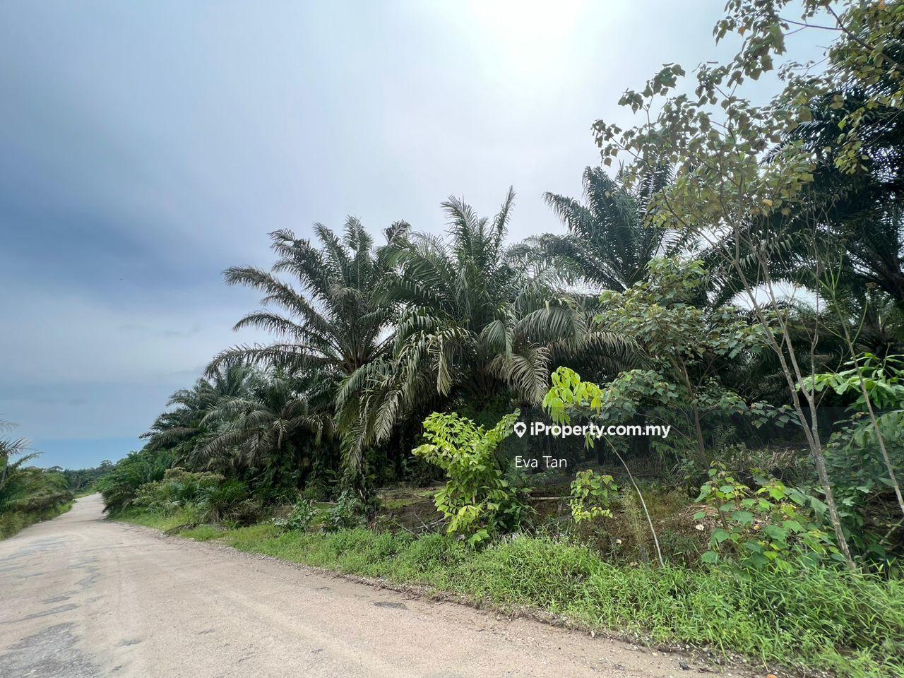 Industrial land at Pekan Nanas for sale