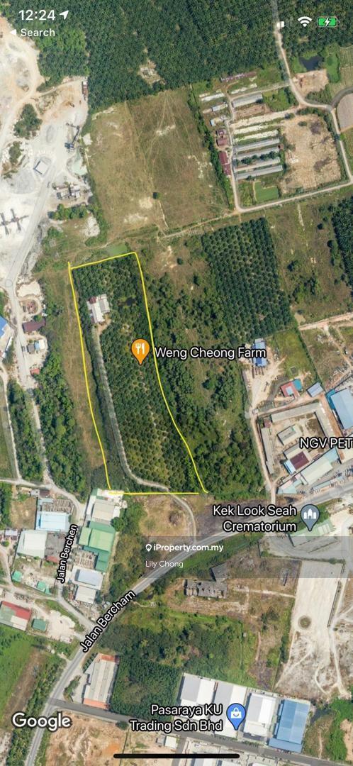 For sale Oil Palm agriculture land 