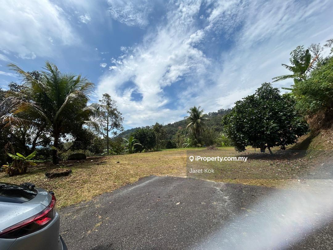 Below Market Price : Durian Farm 30 years old tree, Orchard Farm