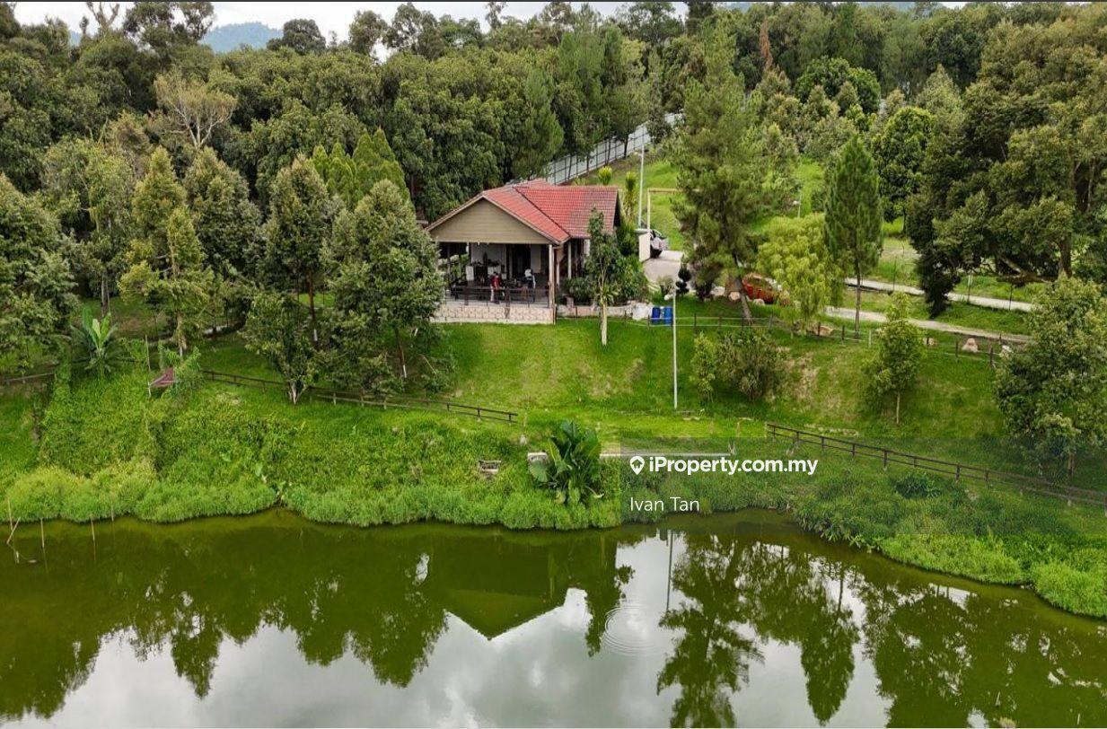 Durian Farm For Sale at Sungai Makau,Hulu Langkat