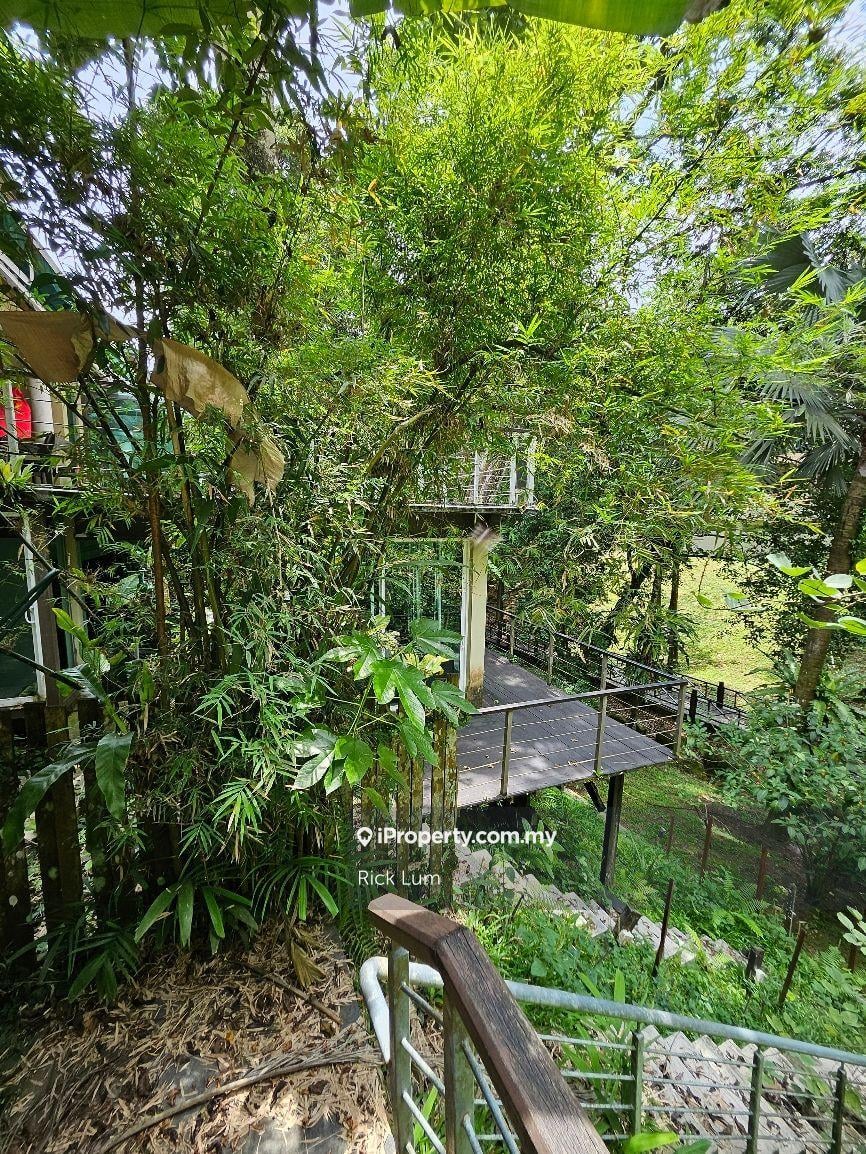 Beautiful Bungalow with trees towering to the sky and birds singing