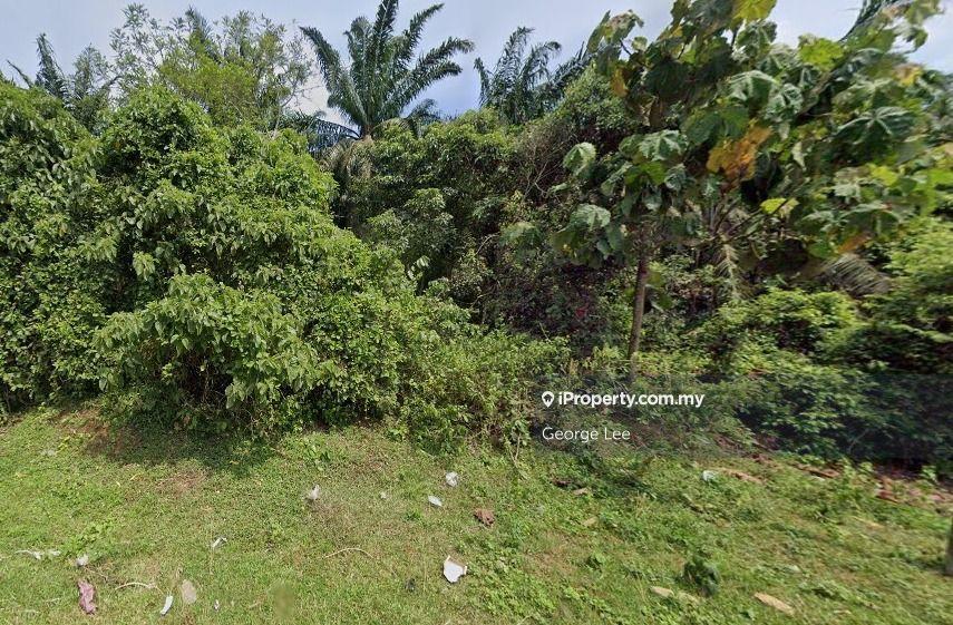 Jabor, Kuantan - Agriculture Land