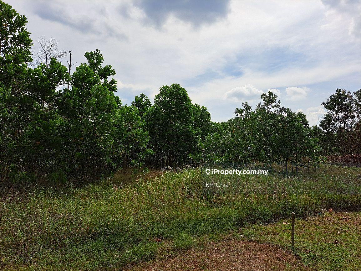 Gebeng 150.acres Industrial land for Sale