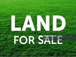 A flat land for sale