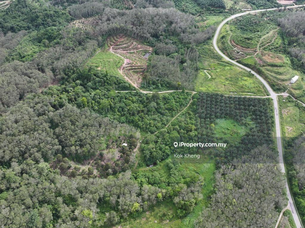 Lenggong Perak 15 Acres Freehold Rubber Tree v Vacant Land For Sale