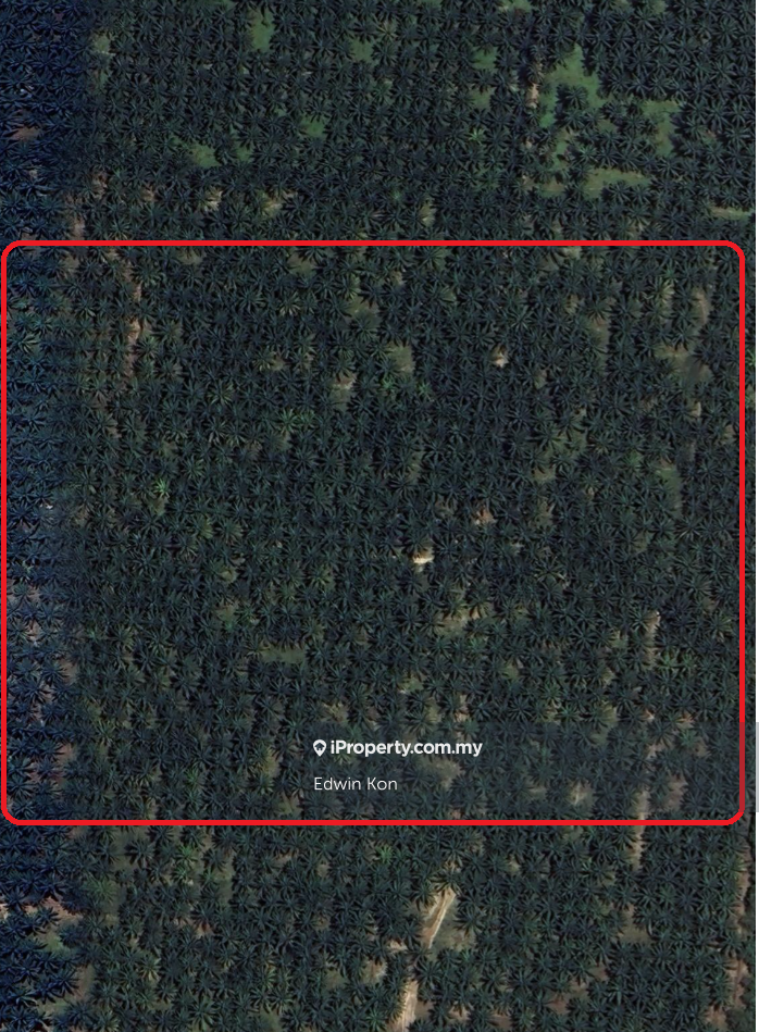 Sepang Agriculture Land Zoning Residential for Sale 