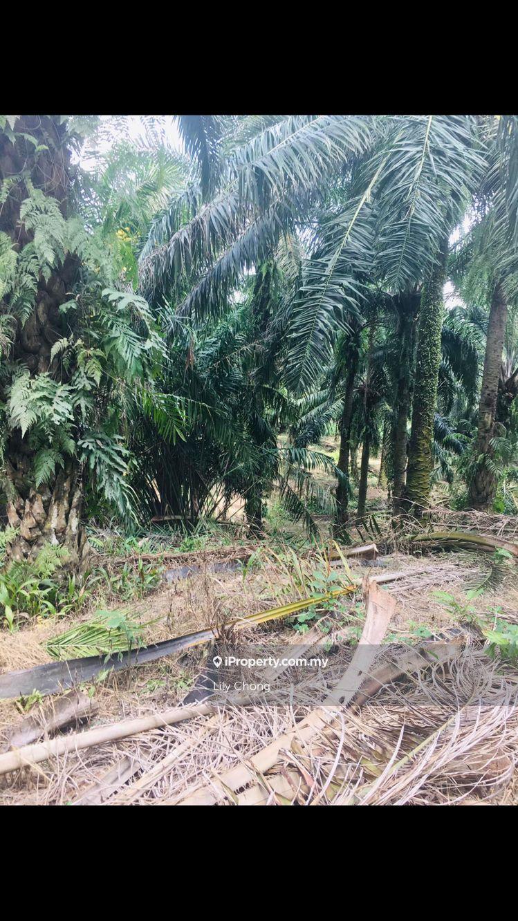Agriculture Land for sale 