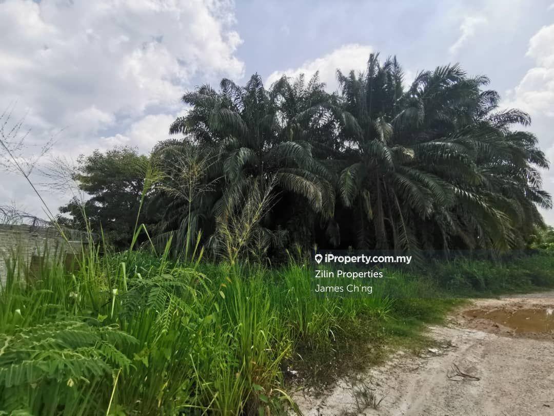 Industrial land for Sale