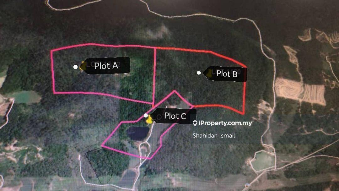 Golden Opportunity: Residential Land Available in Pekan Panchor
