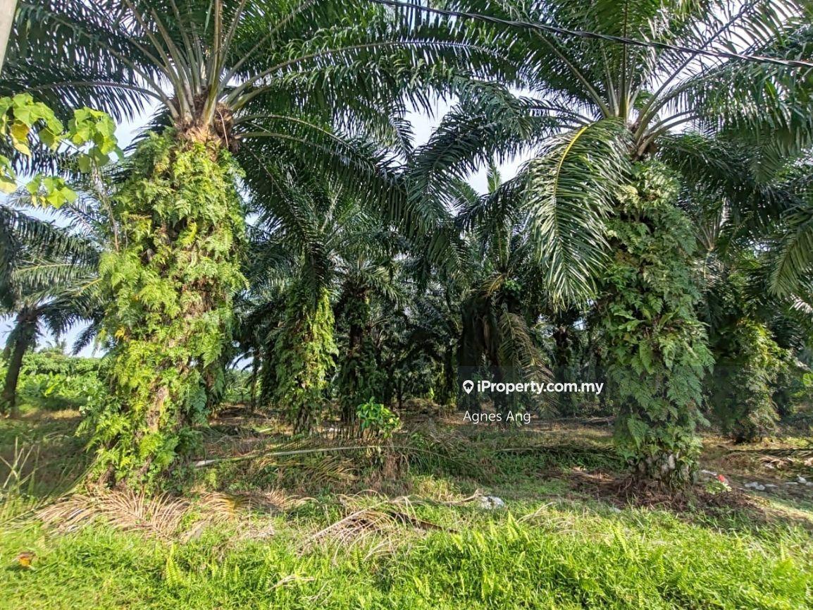 Telok zoning industrial land