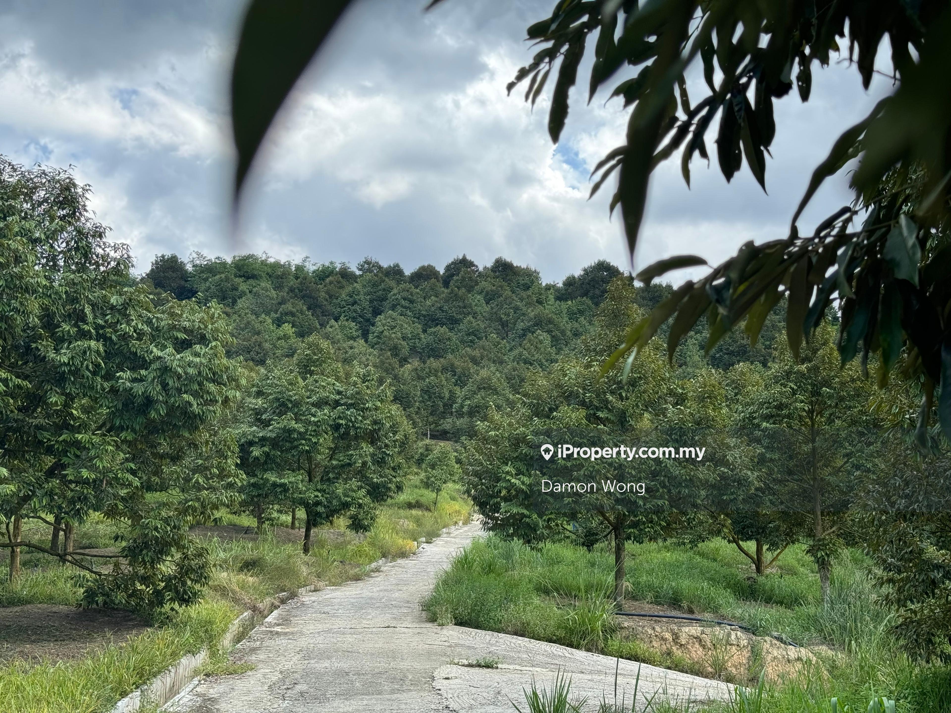 Agriculture land for Sale