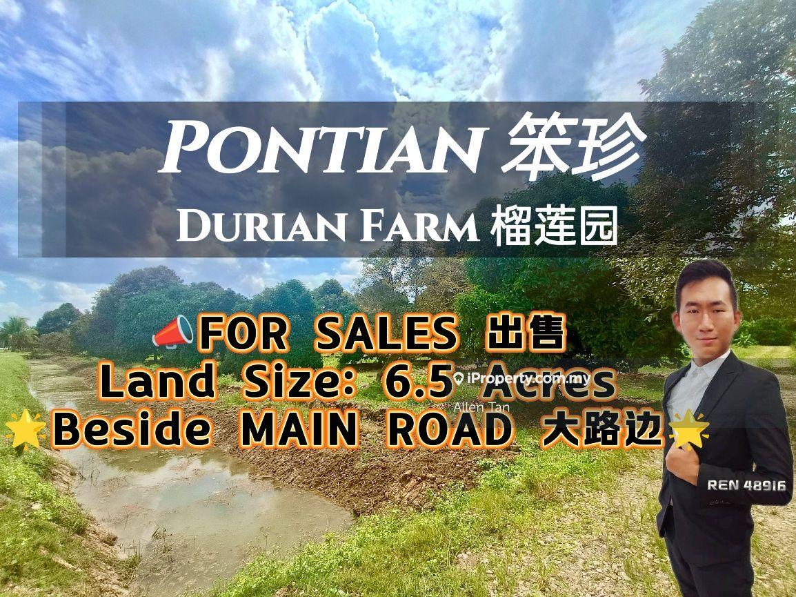Pontian Main Road Durian Farm For Sale