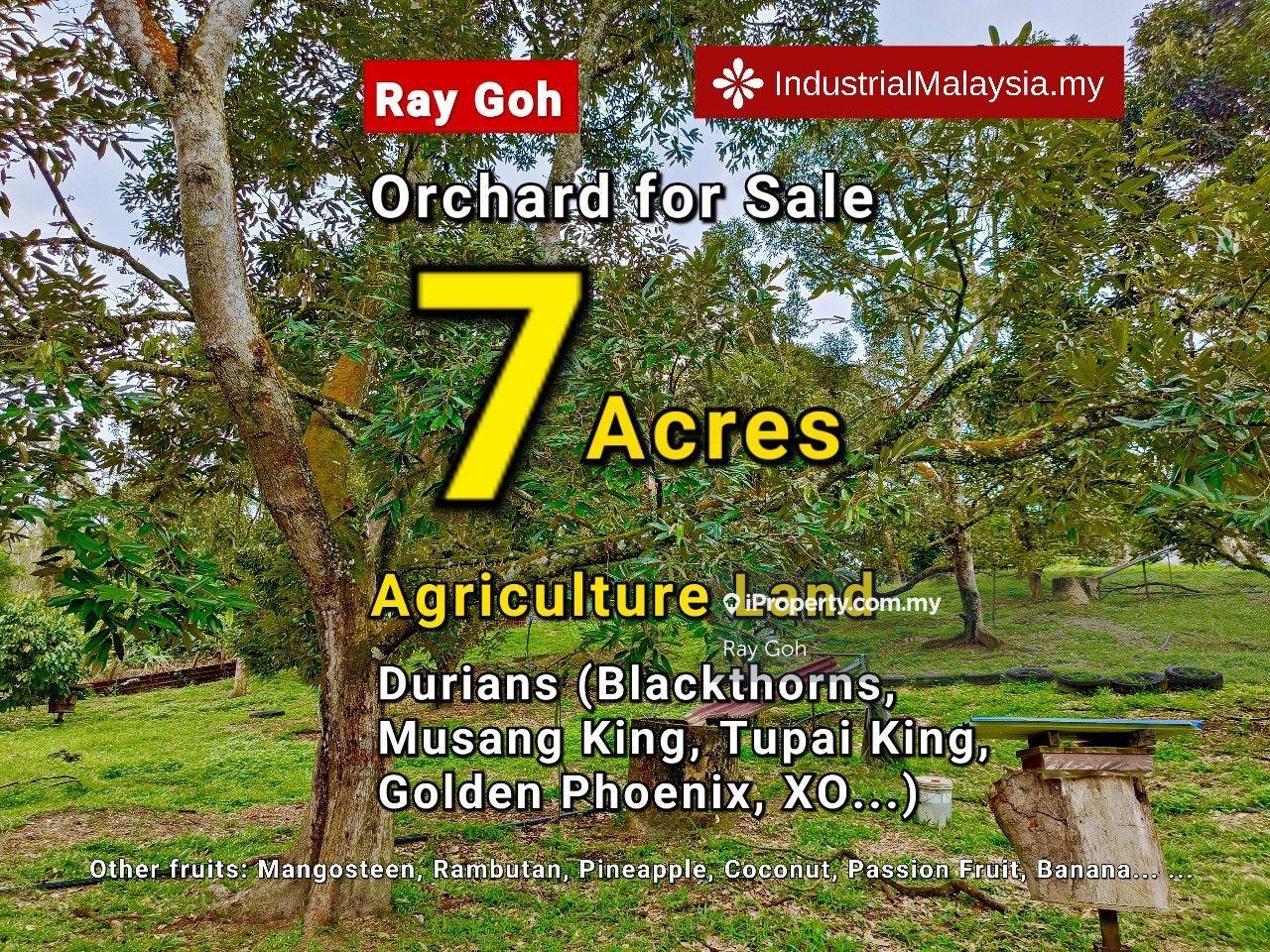 Durians and Fruits Orchard 7 acres agriculture land Mantin Seremban 