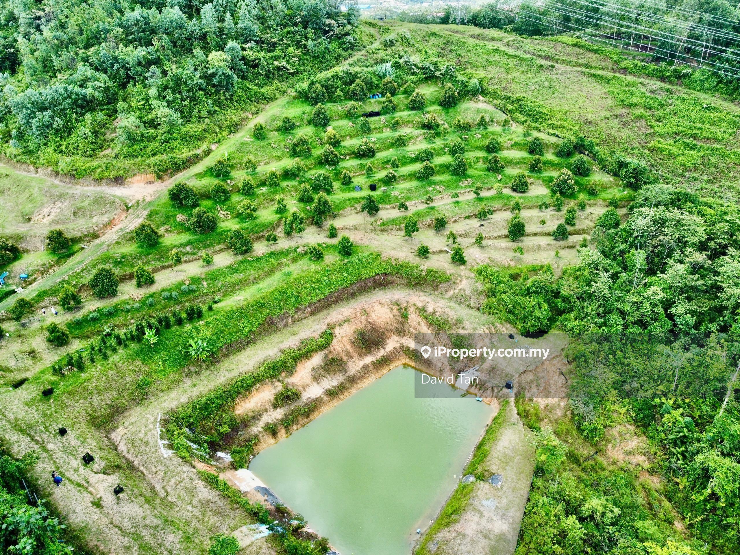 Mambau Rantau Seremban For Sale 12.44 Acres Agricultural Land